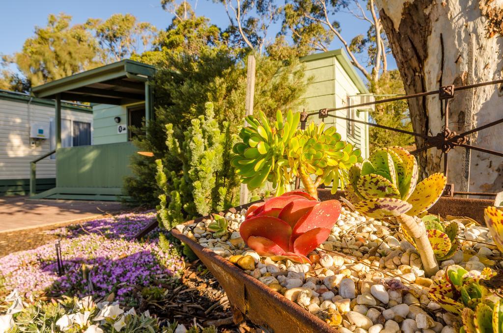 Lake Albert Caravan Park Hotel Meningie Kültér fotó